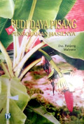 Budidaya Pisang : 
