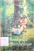 pendekar cilik dari bukit bayangan