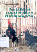 Petunjuk Beternak : Ayam Buras