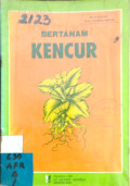 Bertanam Kencur