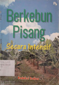 Berkebun Pisang Secara Intensif
