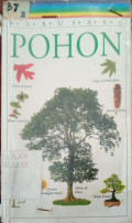 Pohon
